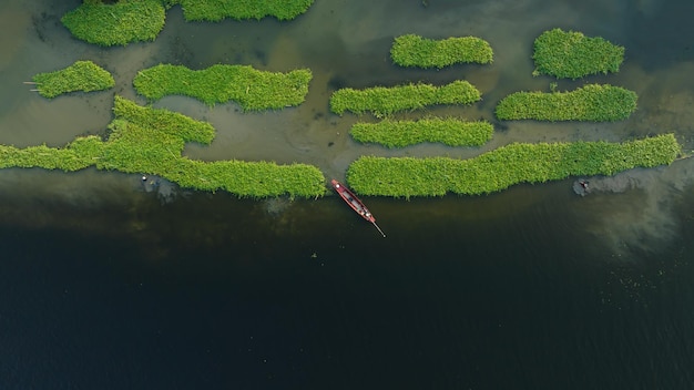 Aerial top view morning glory and long tail boat in the riverside