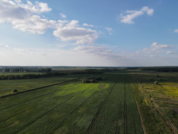 Aerial top view photo from flying drone of a land with down fields in countryside.