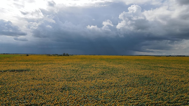 Aerial top view photo from flying drone of a land with down fields in countryside.