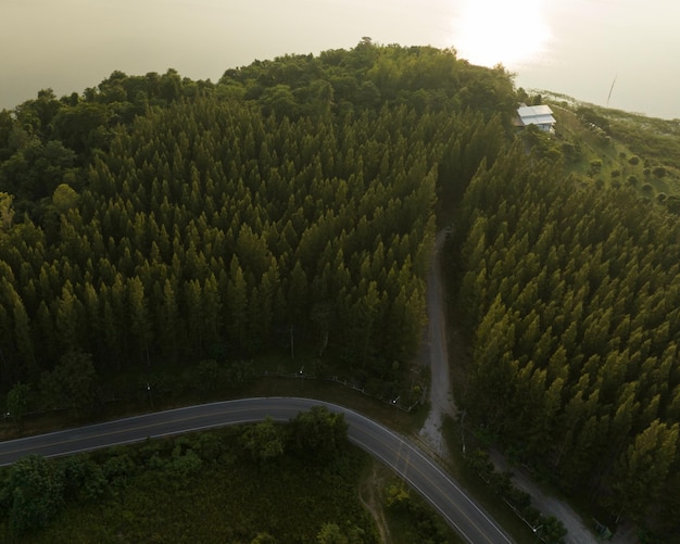 An aerial top view of the road in Pine trees Forest with Sunset scene