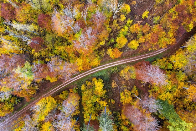 Aerial top view of a road through the colorful autumn forest