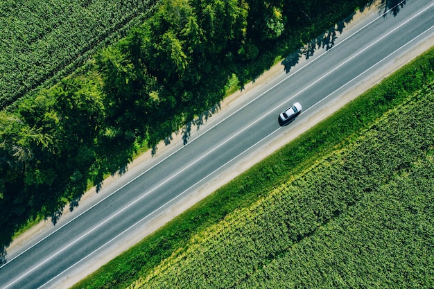 Aerial top view of a rural asphalt road through a green corn field in summer