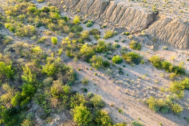 Aerial top view of sand quarry with green trees slope of open pit