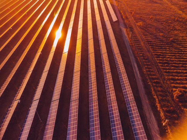 Aerial top view of a solar panels power plant photovoltaic solar panels at sunrise and sunset in