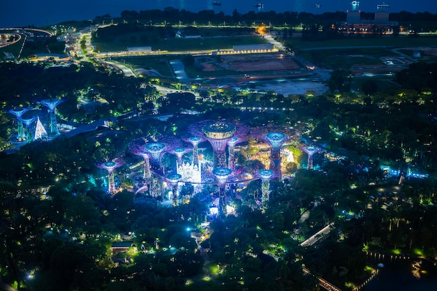 Aerial top view of super tree grove architecture at night in garden landmark