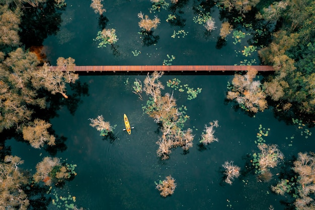 Photo aerial top view of tourists adventure lifestyle activities sport for paddling kayak or canoe on the lake in mangrove forests at rayong botanical garden national park in thailand