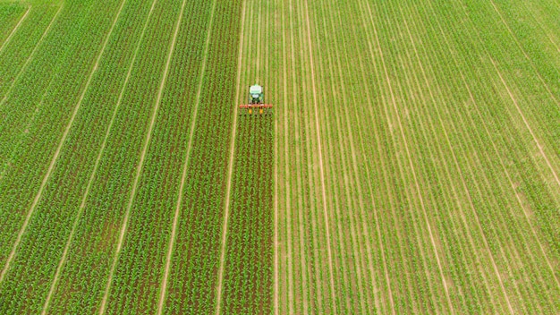 Aerial: tractor working on cultivated fields farmland, agriculture occupation, top down view of lush green cereal crops, sprintime in Italy