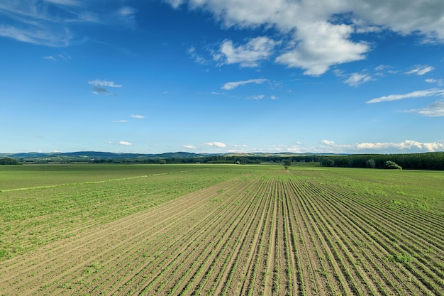 Aerial view of agricultural fields. Countryside, Agricultural Landscape Aerial view.