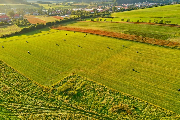 Aerial view of agricultural fields