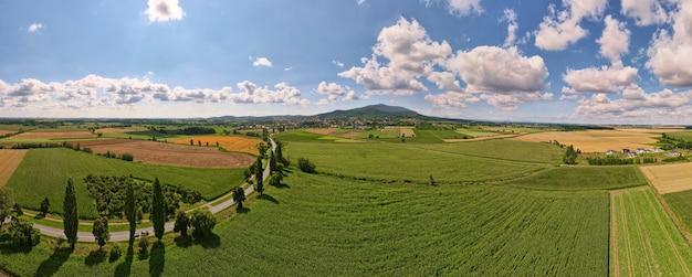 Aerial view of agricultural and green fields in countryside. Nature landscape in summer day, panorama