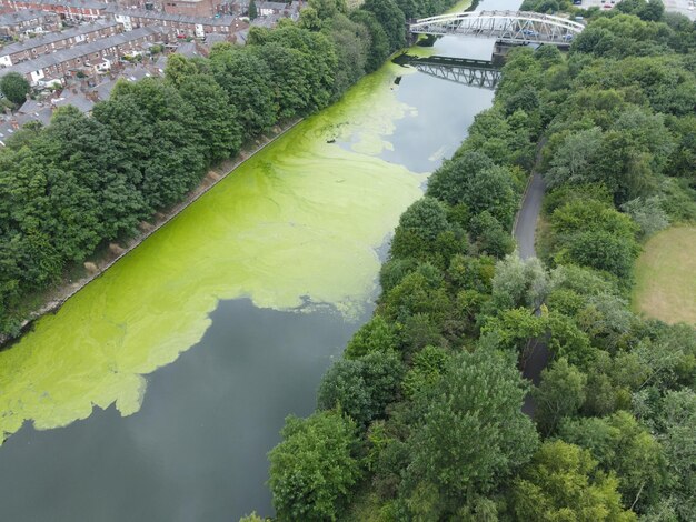 Aerial view of algal bloom on the Manchester Ship Canal