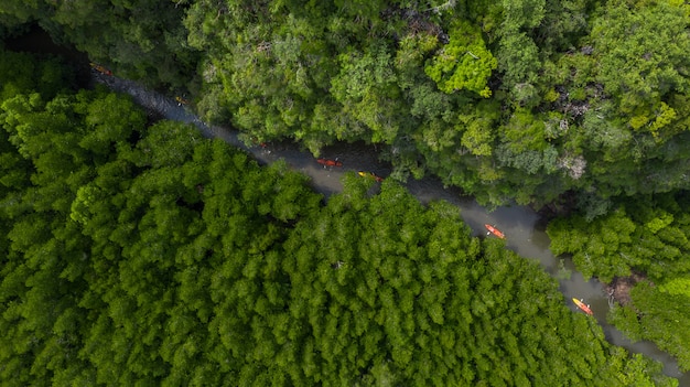 Aerial view of Ao Tha Lane near Krabi, Ao Tha Lane famous place for kayak on the river with mountain and mangrove forest.