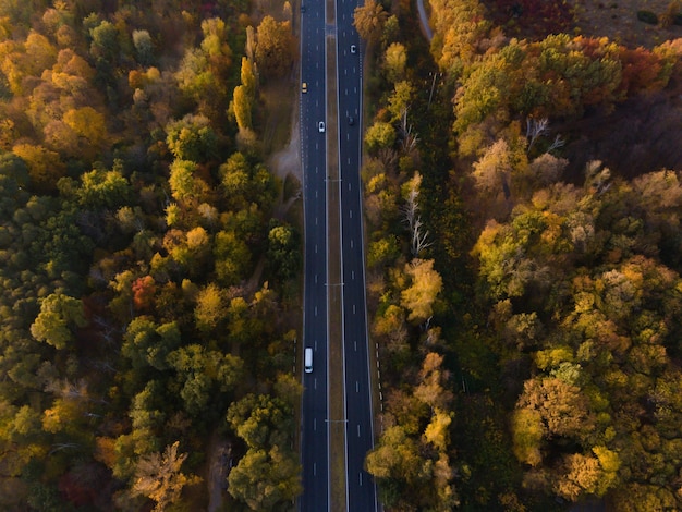 Aerial view of autumn forest and a lot cars on the road