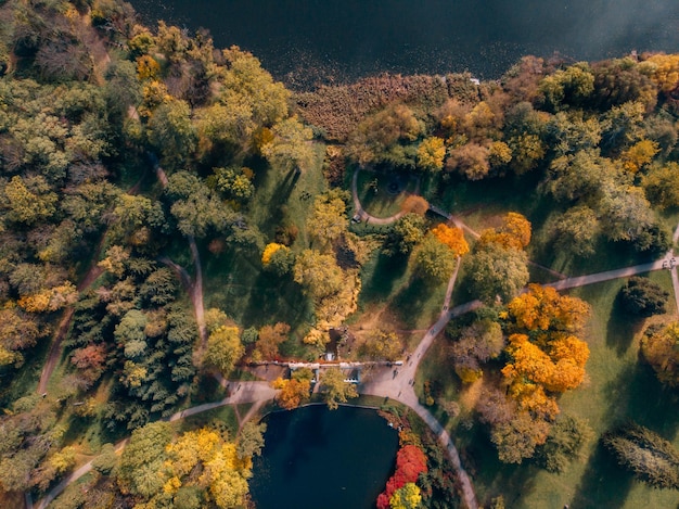 Aerial view of autumn park with lake