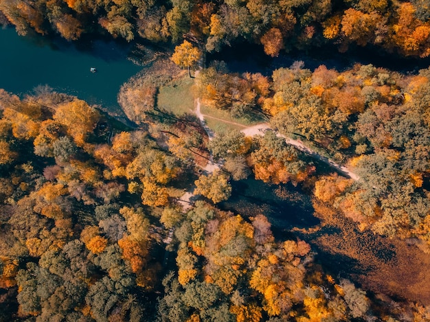 Aerial view of autumn park with lake