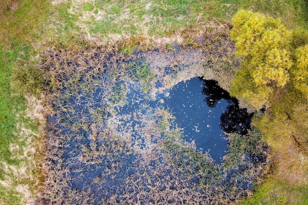 Aerial view of autumn pond with top trees colorful yellow foliage in park