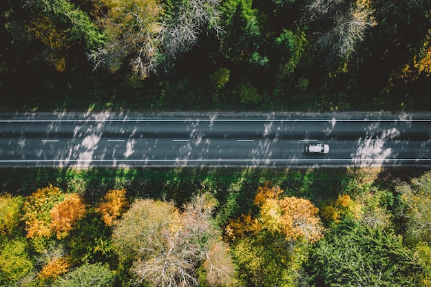 Aerial view of autumn road with colorful trees in woods