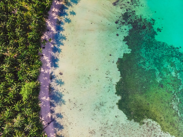 Aerial view of beautiful beach and sea with coconut palm tree