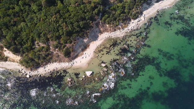 Aerial view of a beautiful beach with a forest and rocks