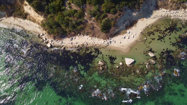 Aerial view of a beautiful beach with a forest and rocks