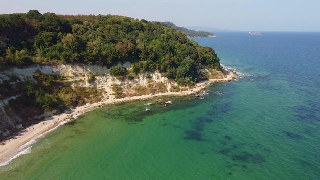 Aerial view of a beautiful beach with a forest and rocks