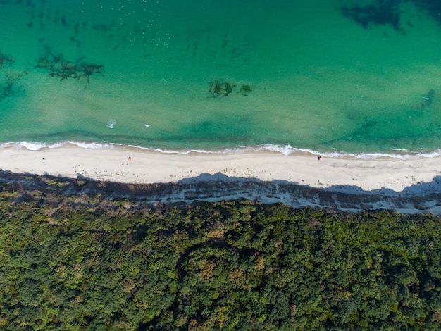 Aerial view of a beautiful beach with a forest and rocks