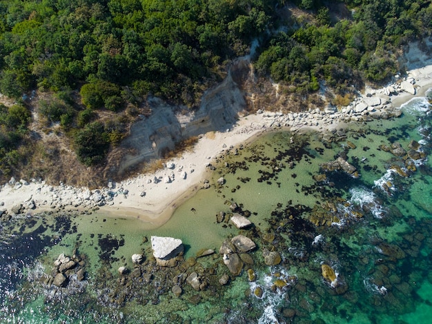 Aerial view of a beautiful beach with a forest and rocks