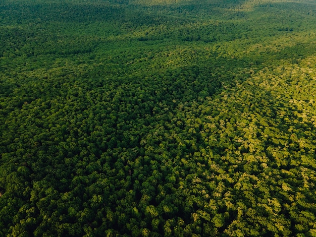 Aerial view of beautiful footage of tropical rainforest in amazon amazon forest jungle in brazil