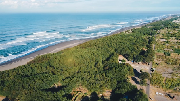 Aerial view of beautiful morning beach and green forest