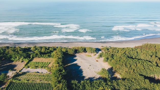 Aerial view on the beautiful morning beach