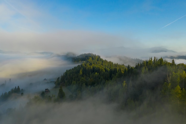 Aerial view of beautiful mountains and conifer trees on foggy morning