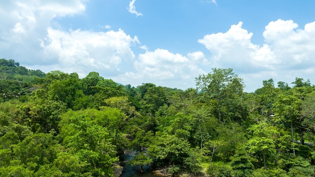 Aerial view of beautiful natural green field of grass in the wild forest mountain on blue sky cloud concept traveling and relaxing on holiday time