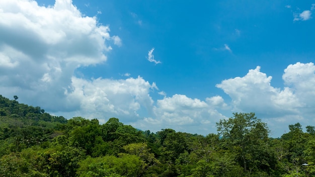 Aerial view of beautiful natural green field of grass in the wild forest mountain on blue sky cloud concept traveling and relaxing on holiday time