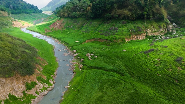 Aerial view of beautiful natural water stream and green field of grass in the wild forest mountain concept traveling and relaxing on holiday time