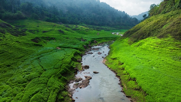 Aerial view of beautiful natural water stream and green field of grass in the wild forest mountain concept traveling and relaxing on holiday time