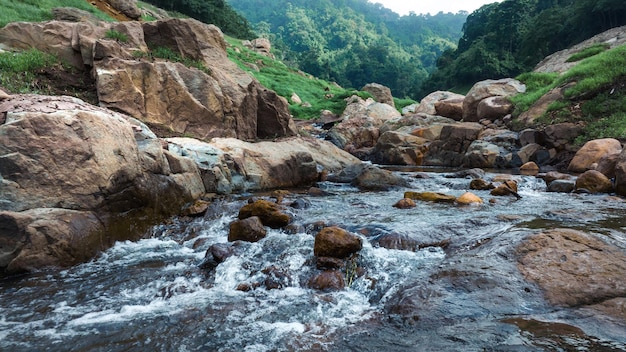 Aerial view of beautiful natural water stream and green field of grass in the wild forest mountain concept traveling and relaxing on holiday time