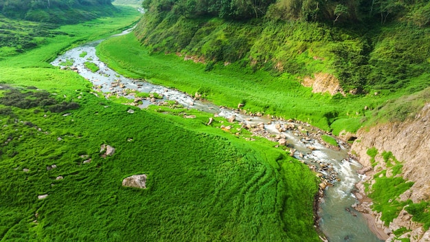 Aerial view of beautiful natural water stream and green field of grass in the wild forest mountain concept traveling and relaxing on holiday time