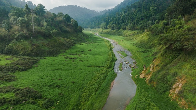 Aerial view of beautiful natural water stream and green field of grass in the wild forest mountain concept traveling and relaxing on holiday time