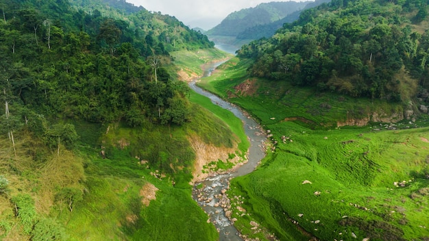 Aerial view of beautiful natural water stream and green field of grass in the wild forest mountain concept traveling and relaxing on holiday time