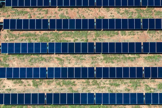 Aerial view of big sustainable electric power plant with many rows of solar photovoltaic panels for producing clean electrical energy Renewable electricity with zero emission concept