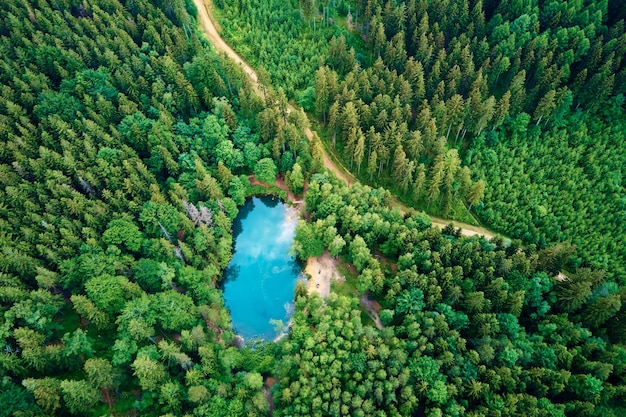 Aerial view of blue colored forest lake in Poland