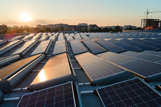 Aerial view of blue photovoltaic solar panels mounted on industrial building roof for producing green ecological electricity at sunset. Production of sustainable energy concept