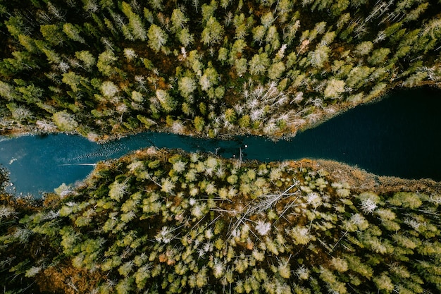 Aerial view of blue water river with suspension bridge and green woods