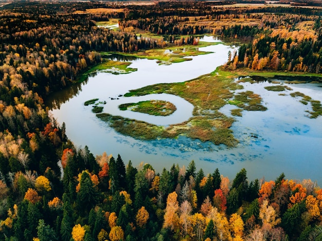 Aerial view of blue winding river with fall forest with autumn colorful trees