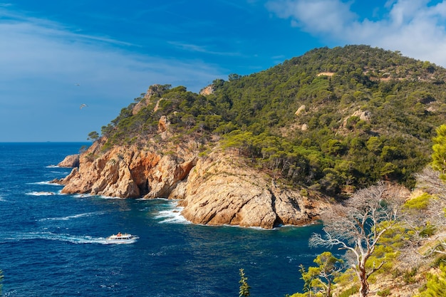 Aerial view of cala pola bay coast of the balearic sea near tossa de mar in the summer morning costa