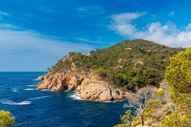 Aerial view of cala pola bay near tossa de mar coast of the balearic sea in the summer morning costa...