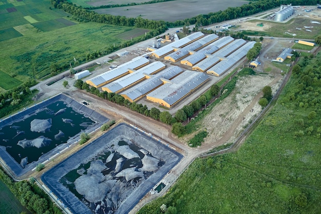 Aerial view of cattle farm buildings between green farmlands