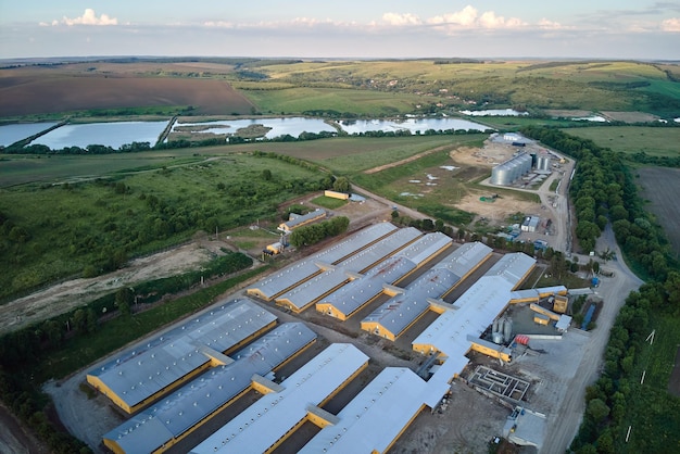 Aerial view of cattle farm buildings between green farmlands