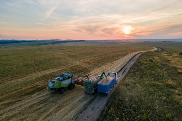 Aerial view of combine harvester unloading grain in cargo trailer working during harvesting season on large ripe wheat field Agriculture and transportation of raw farm products concept