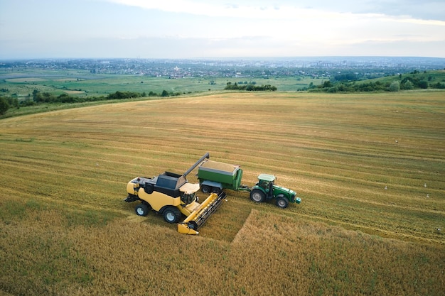 Aerial view of combine harvester unloading grain in cargo trailer working during harvesting season on large ripe wheat field Agriculture and transportation of raw farm products concept